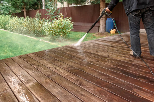 Best Vinyl Siding Pressure Washing in Necedah, WI