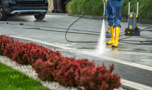 Best Soft Washing for Delicate Surfaces in Necedah, WI